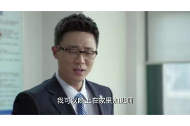 双城双城的要账公司在催收过程中的策略和技巧有哪些？